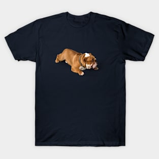 Dog T-Shirt